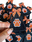 Cheer Megaphone Iron on Patch with orange paw print